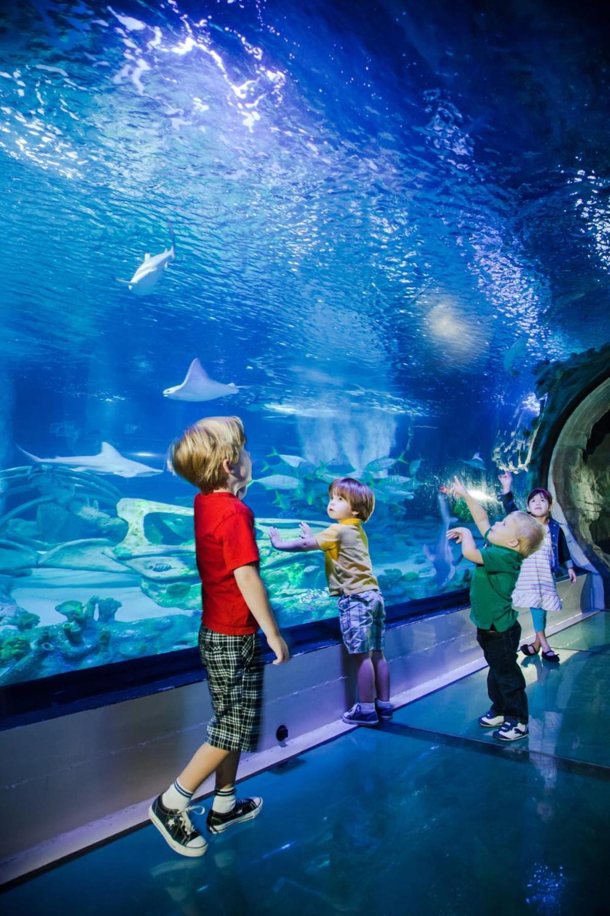 Home Disney Torcy المظهر الخارجي الصورة